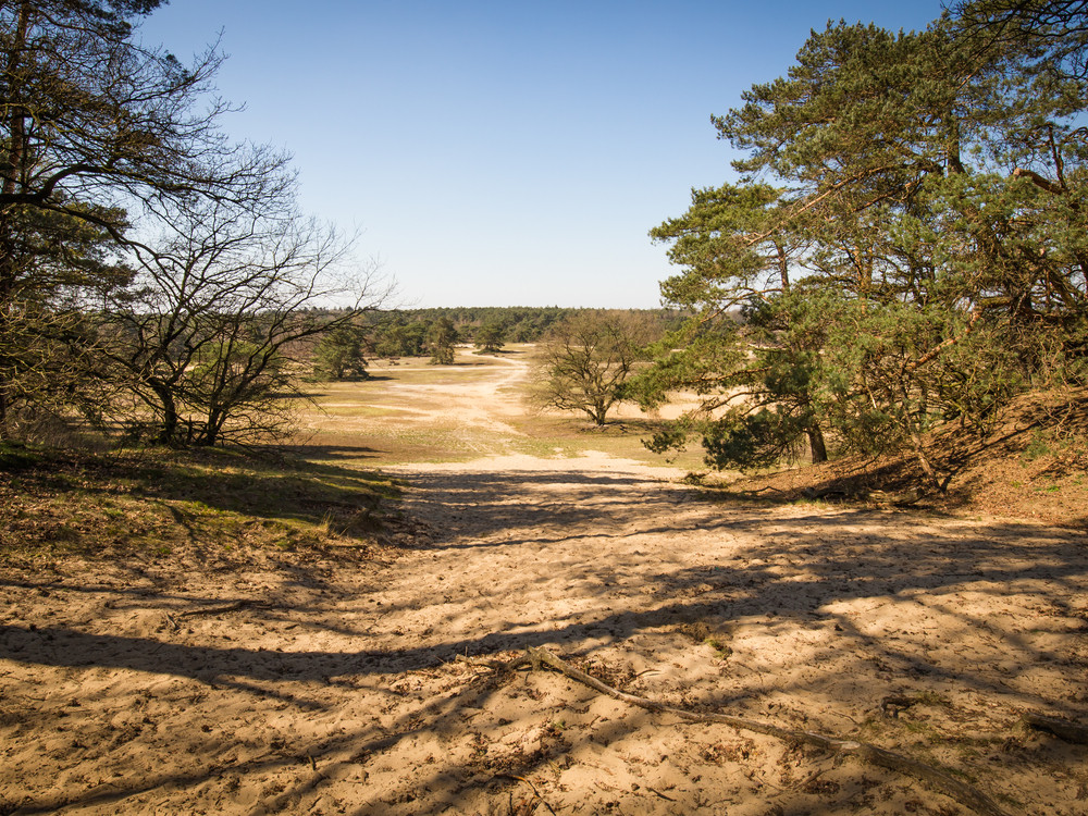 Natuur bij Hoenderloo