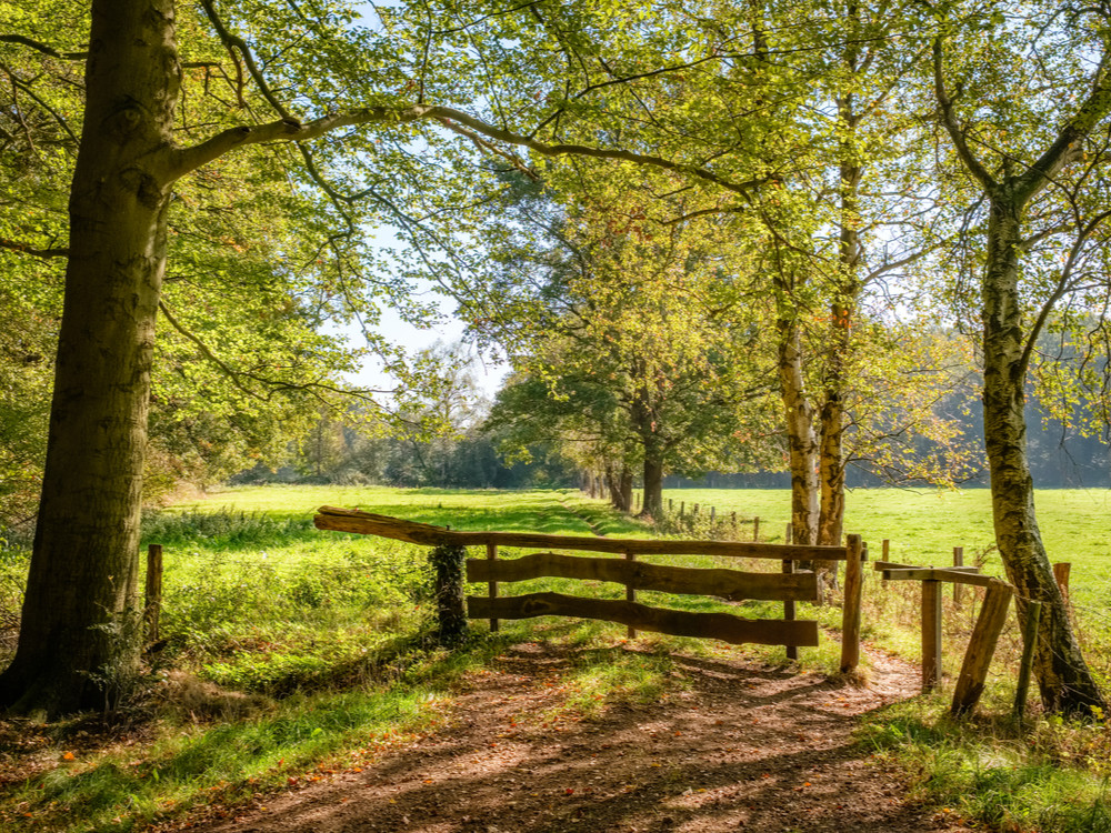 Het Hulsbeek