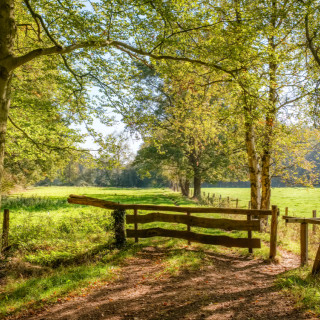 Afbeelding voor Het Hulsbeek