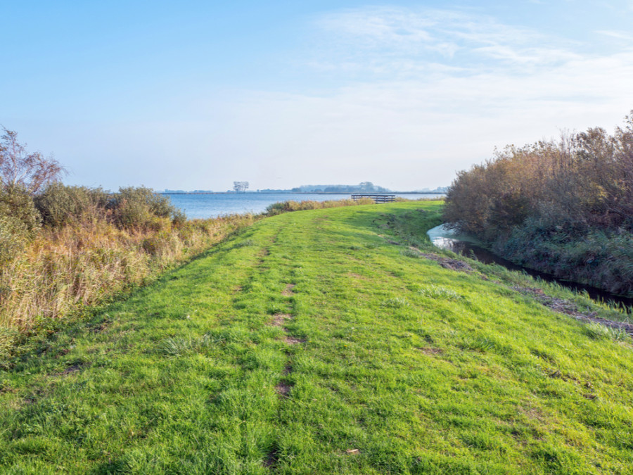 Friese landschappen