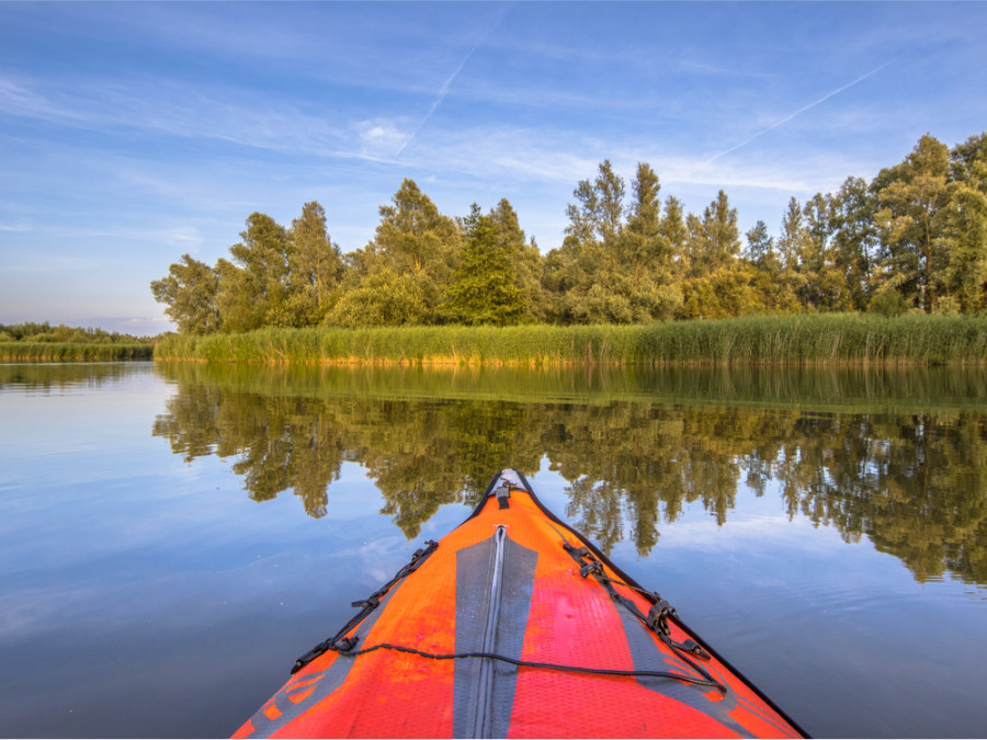 Kajakken in de Biesbosch