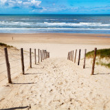 Afbeelding voor Vakantie aan zee