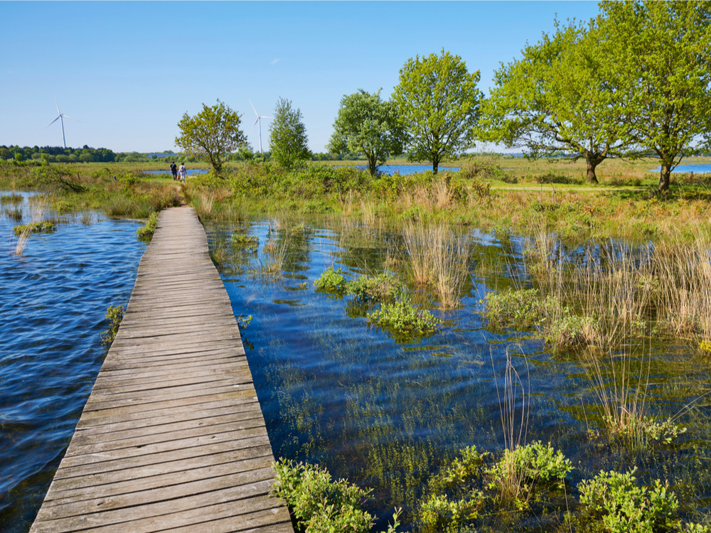 Huis ter Heide