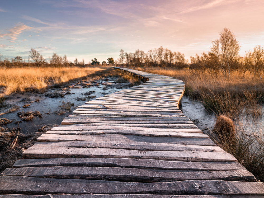 Natuur in Brabant