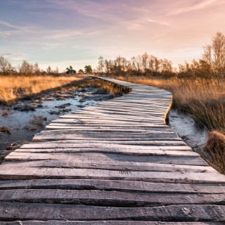 Afbeelding voor Noord-Brabant