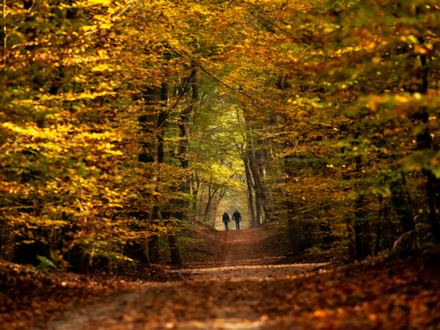 Speulderbos Speulderbos