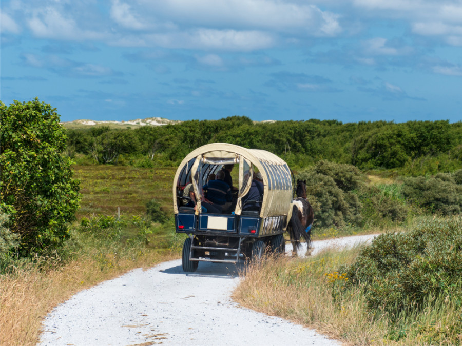 Actief op Terschelling