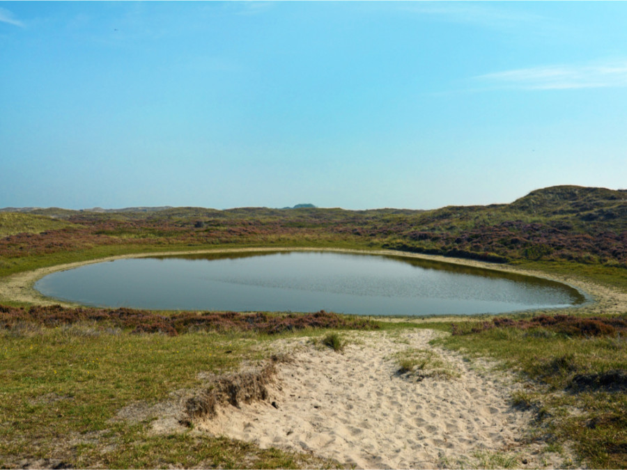 Geul Texel