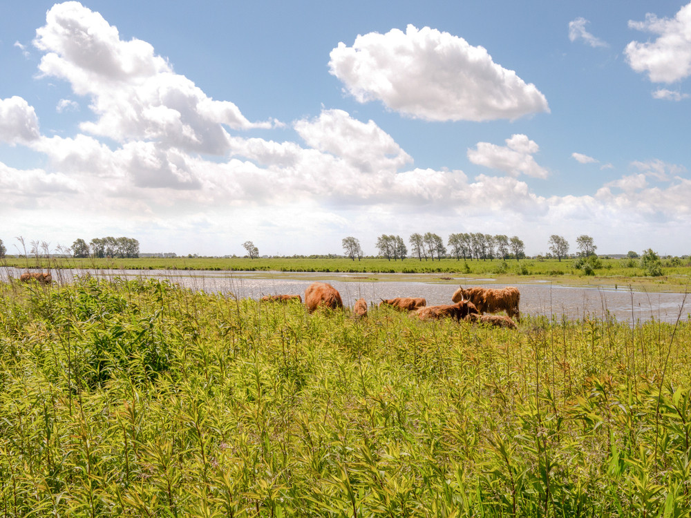 Natuurgebied Nederland