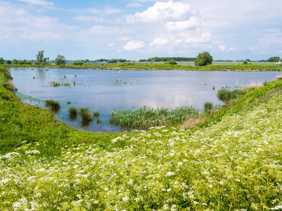 Eiland Tiengemeten