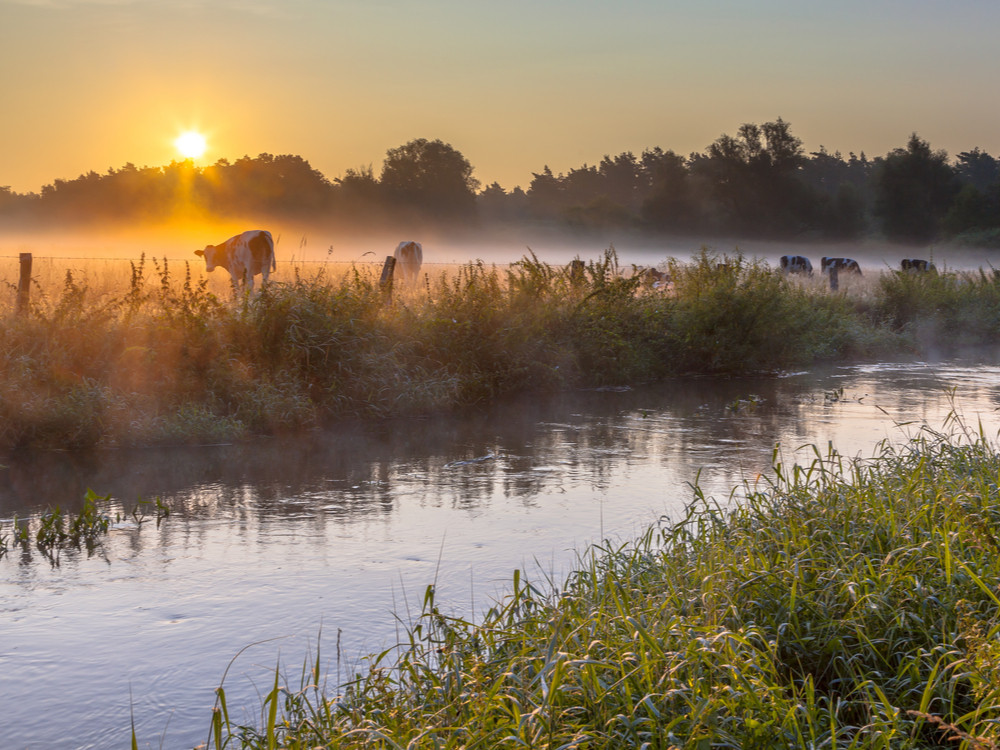 Dinkel rivier Twente