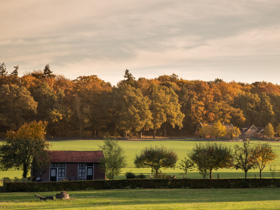 Wandelen in de herfst in Twente