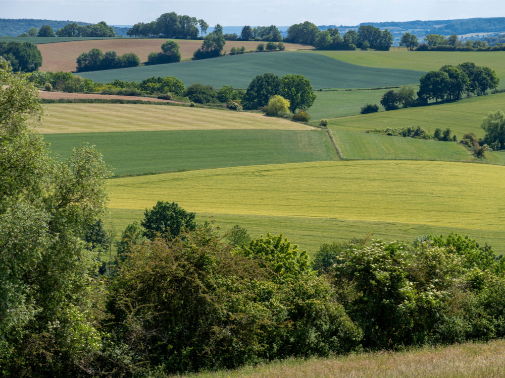 Natuur bij Valkenburg