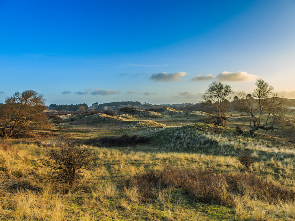 Duinlandschap