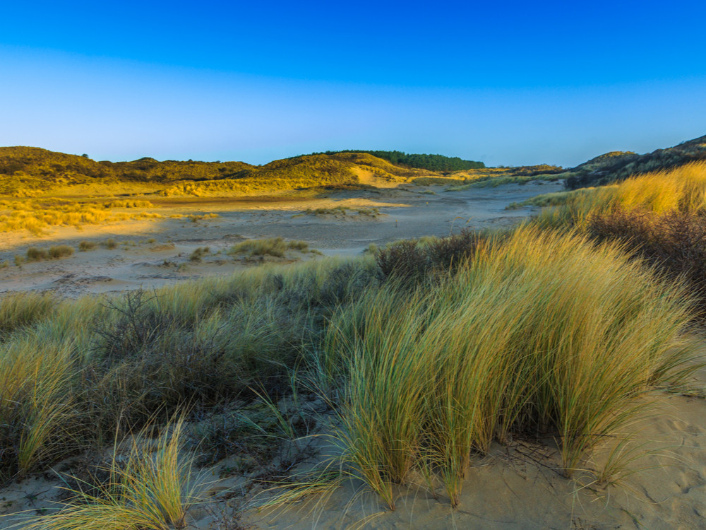 Zuid-Kennemerland - Kraansvlak