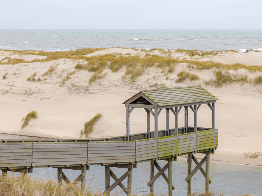 Strand in de winter