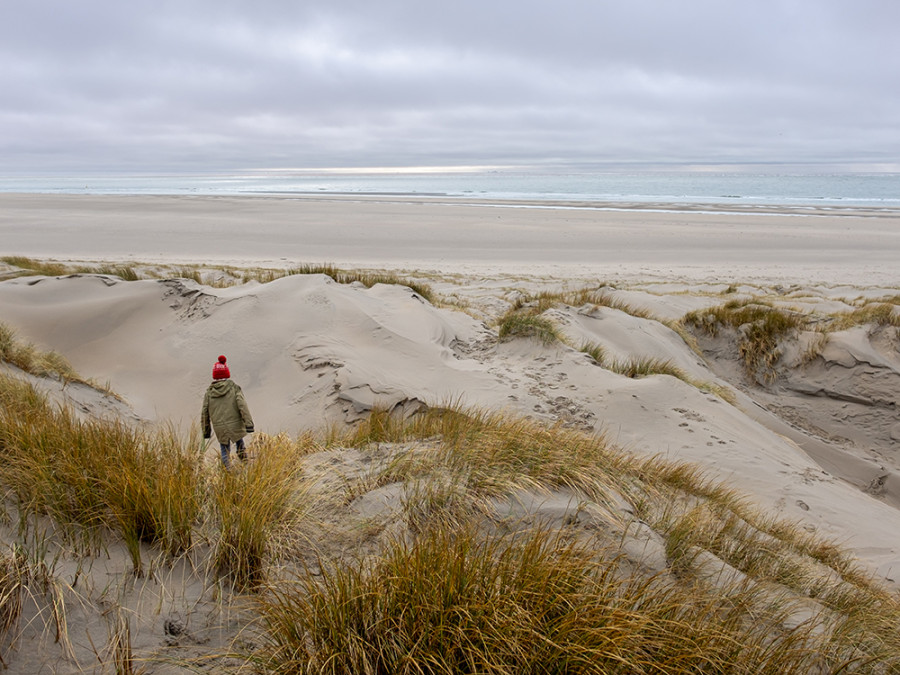 Natuur in Noord-Holland