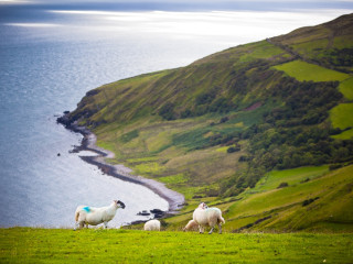 Afbeelding voor Noord-Ierland