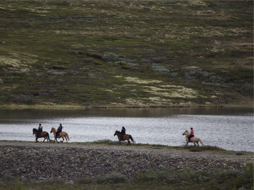Paardrijden Noorwegen