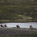 Afbeelding voor Paardrijden in Noorwegen