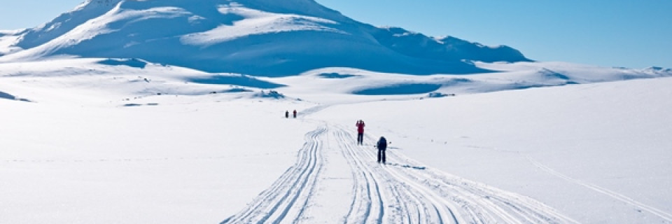 Top foto voor Winters