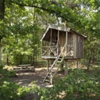 Afbeelding voor De Norgerberg - Boomhut in Drenthe