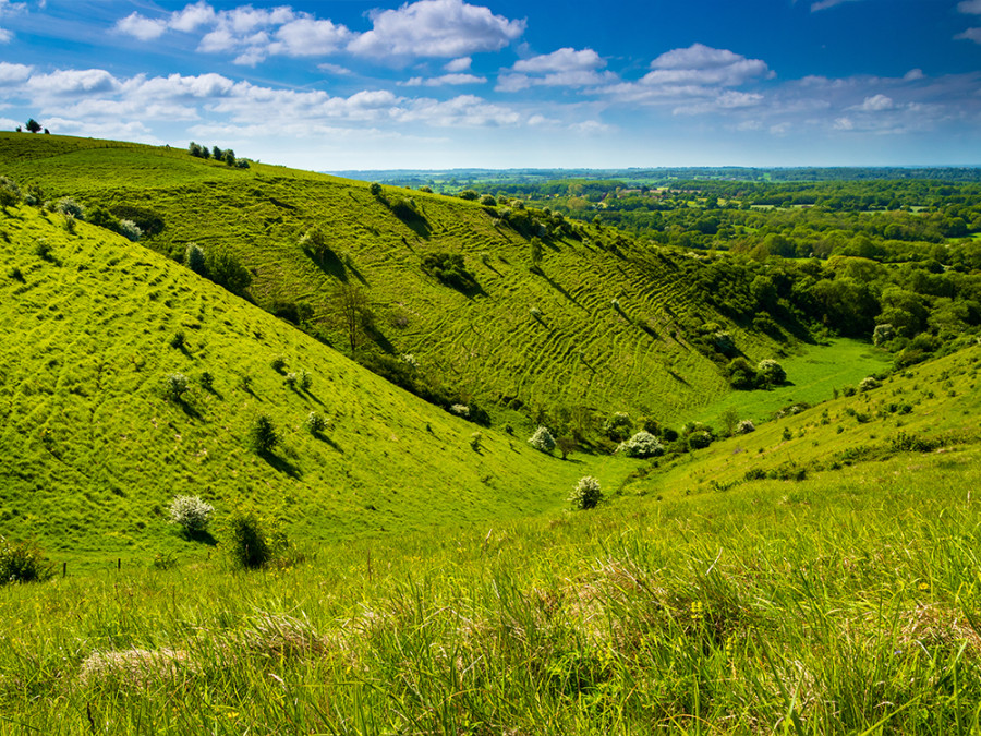 Garden of England