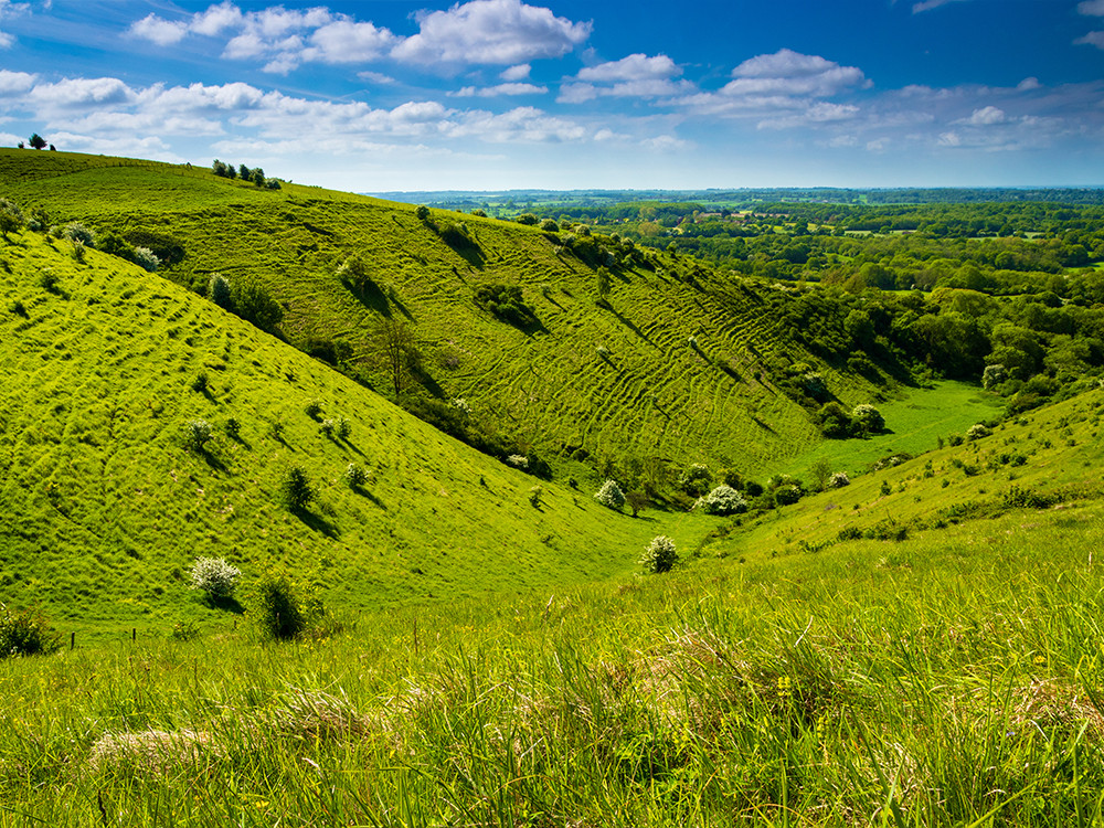 North Downs Way