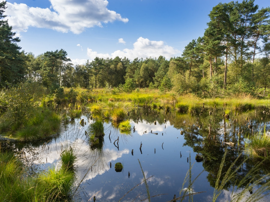 Nordpfad Dört Moor