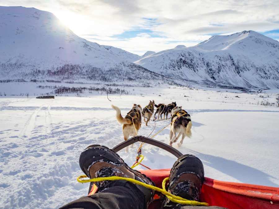 Dog sledding Noorwegen
