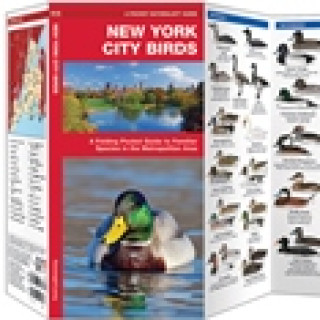 Afbeelding voor Natuurgidsjes - Vogels in New York