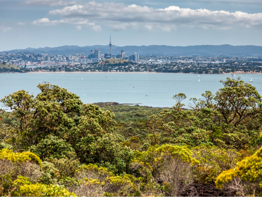 Natuur bij Auckland