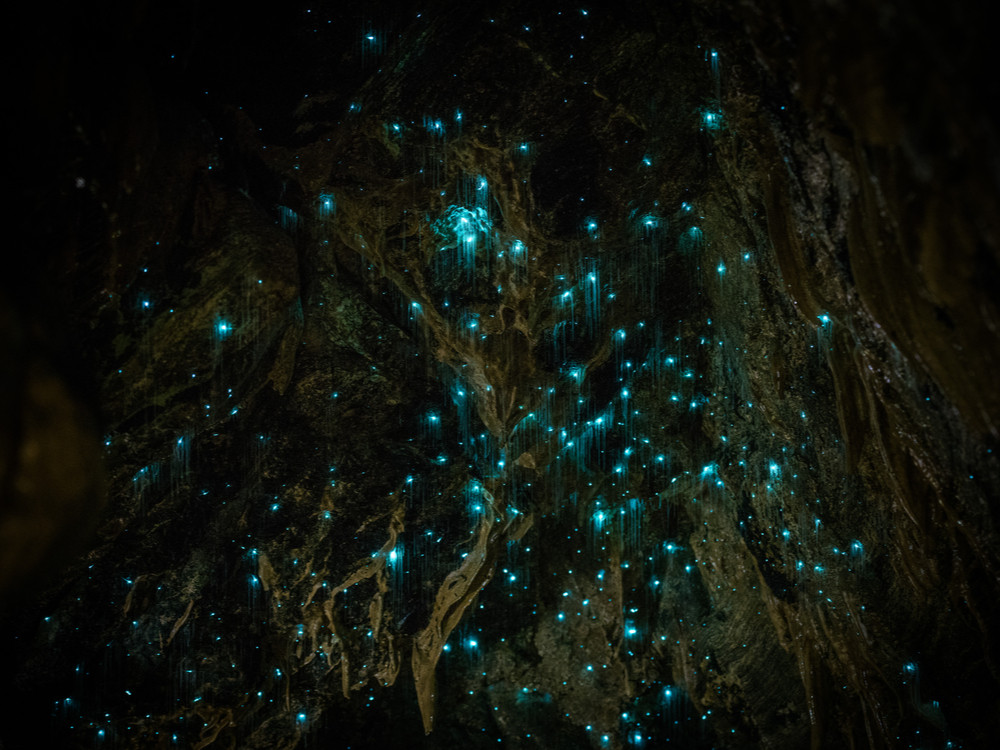 Glowworm caves