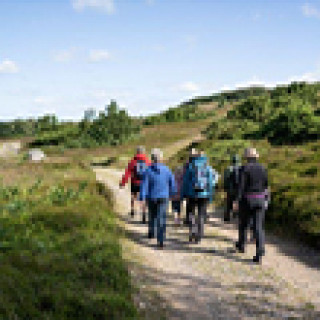 Afbeelding voor Oad Reizen - Wandelen Rebild Bakker NP