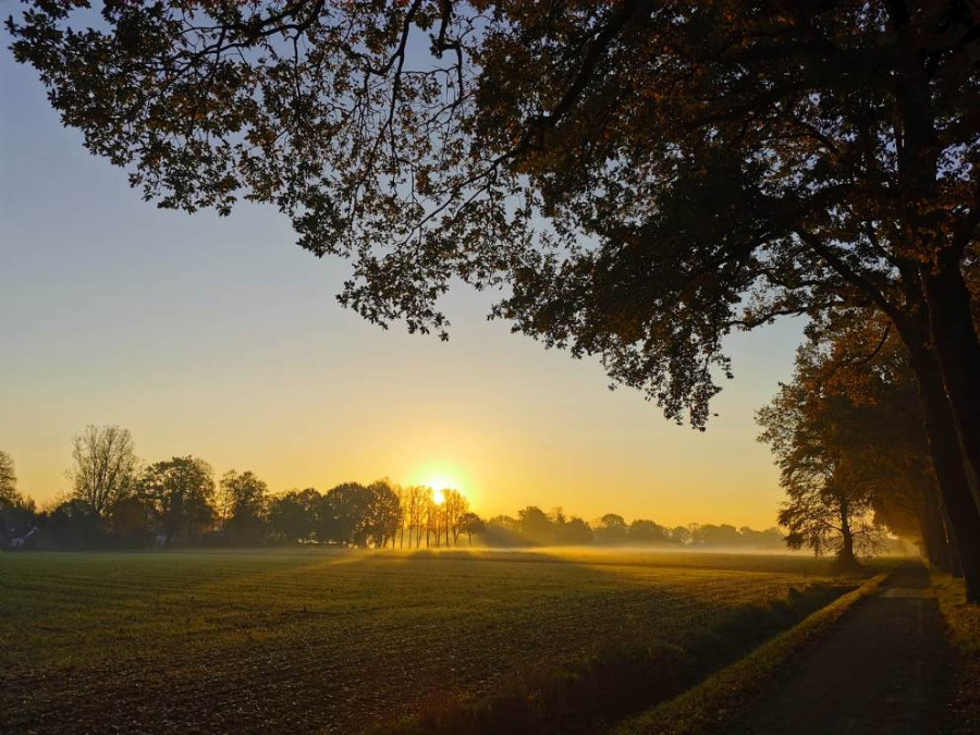 Gelderland fietsen