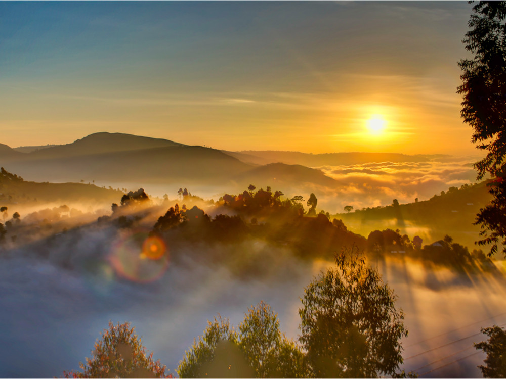 Zonsopkomst Bwindi