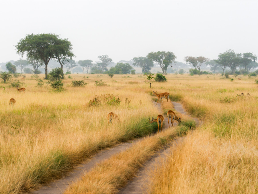 Fietsreis Afrika