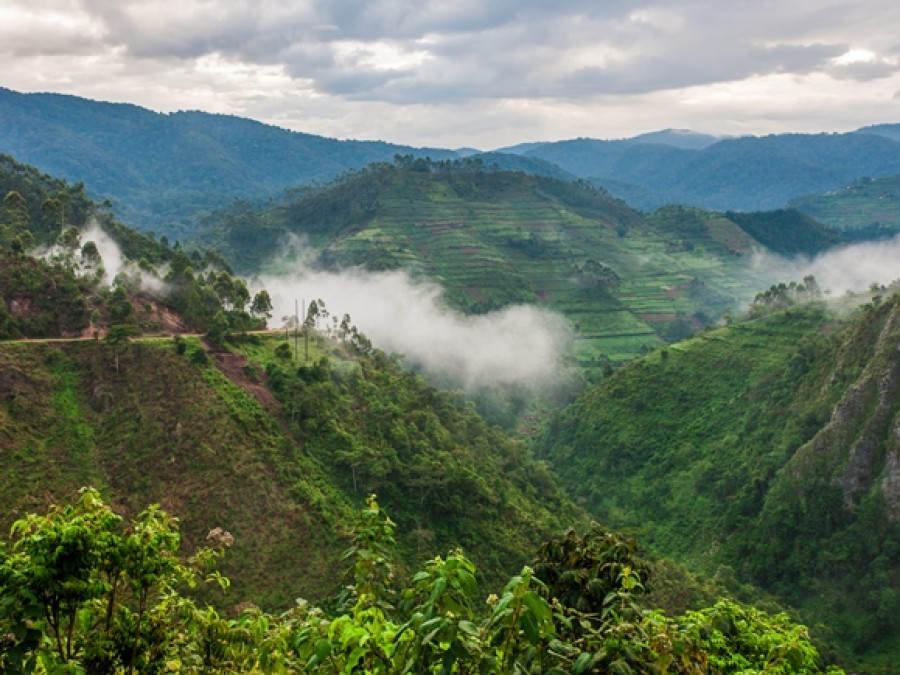 Bwindi Nationaal Park