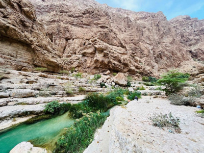 Afbeelding bij Oman