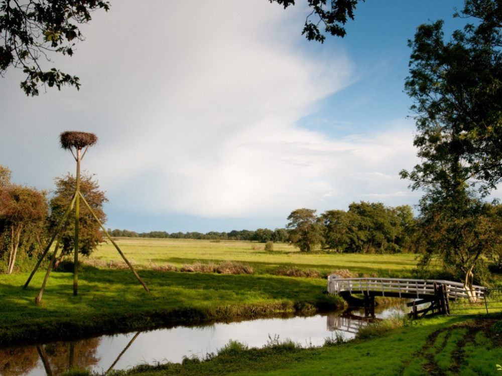 Ooievaarsnest bij de Reest