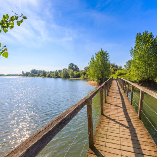 Afbeelding voor Natuur bij Nijmegen