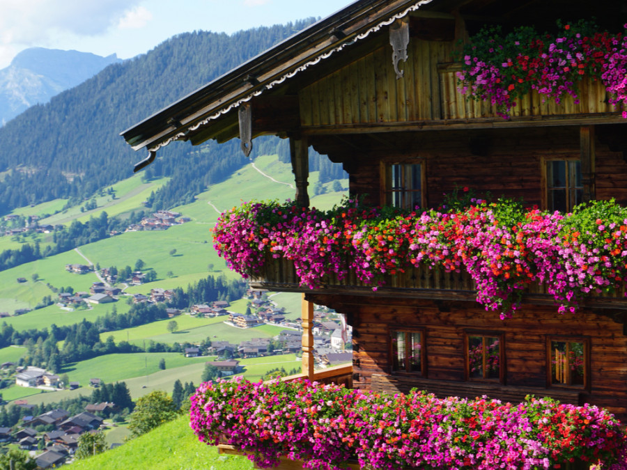 Alpbach bloemendorp