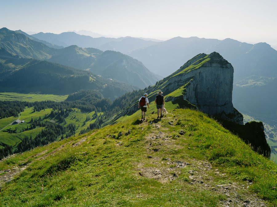 Brezengerwald