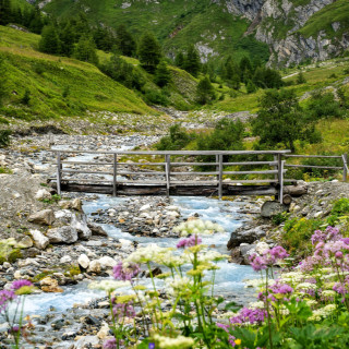 Afbeelding voor Oost-Tirol