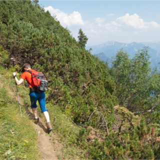 Afbeelding voor Wandelen in Steiermark