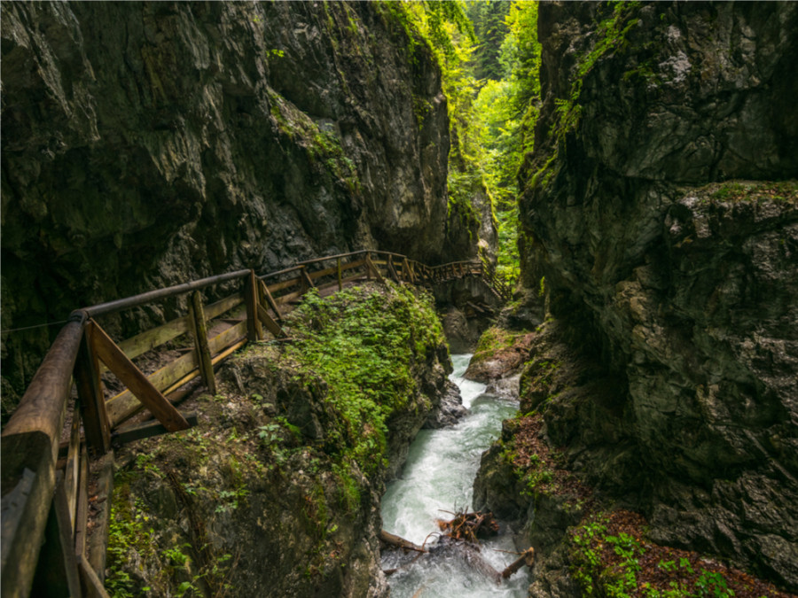 Natuur in Tirol