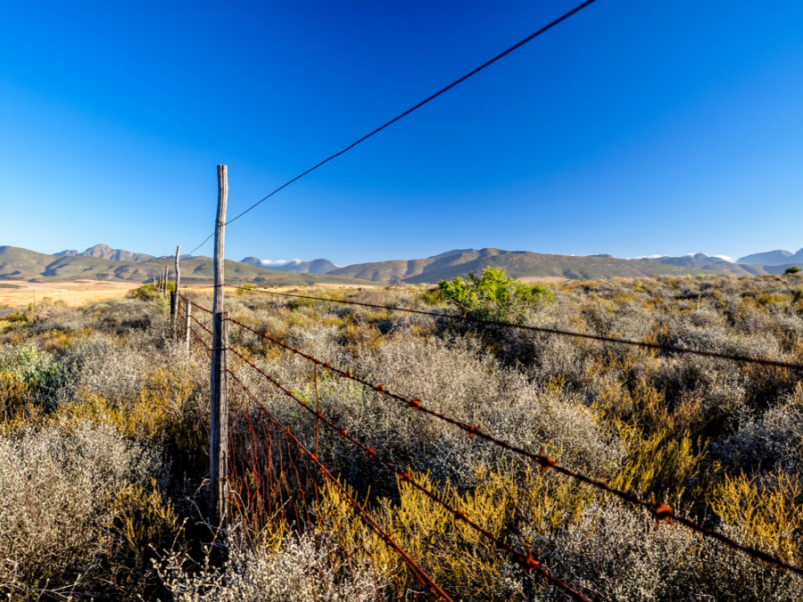 Roadtrip Oudtshoorn