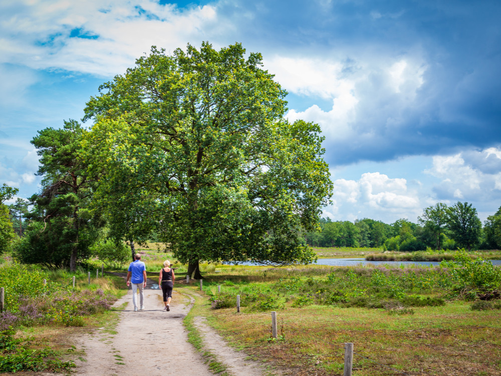 Wandelgebieden bij Nijmegen