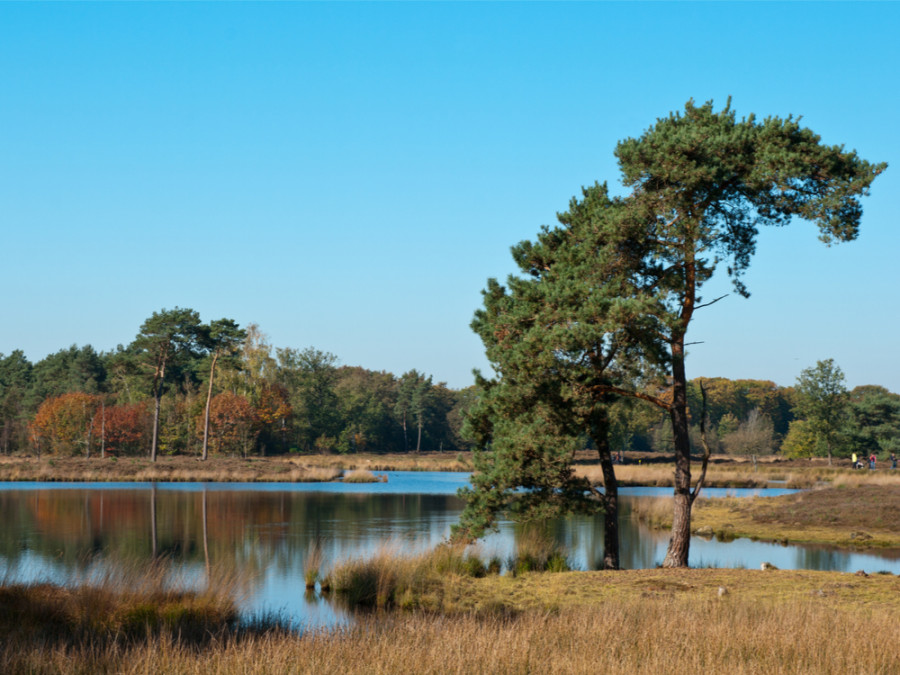 Mooiste plekjes Gelderland