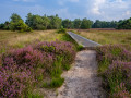 Mooie wandelroute in Overijssel